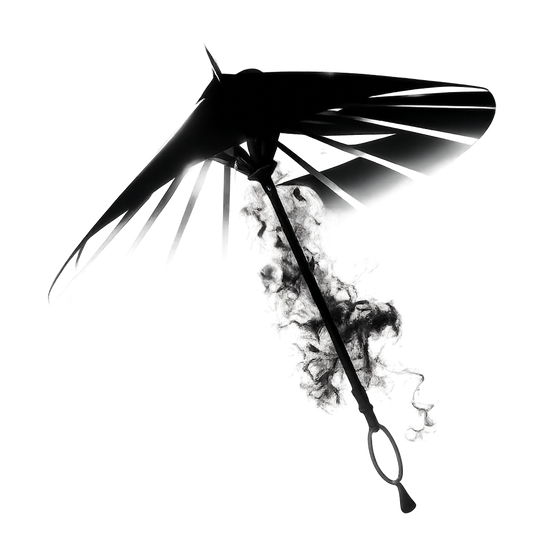 Yin Yang Parasol