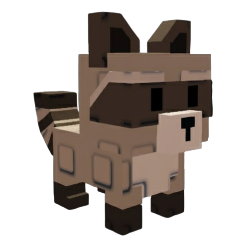 raccoon