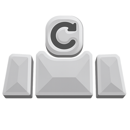ريرول الريس