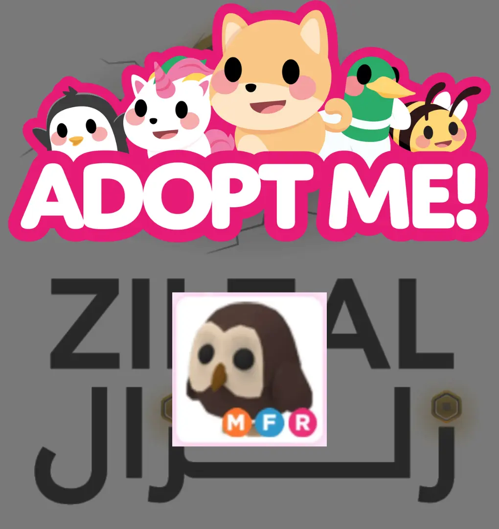 Owl ZilZalstore